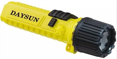 DaySun 1000